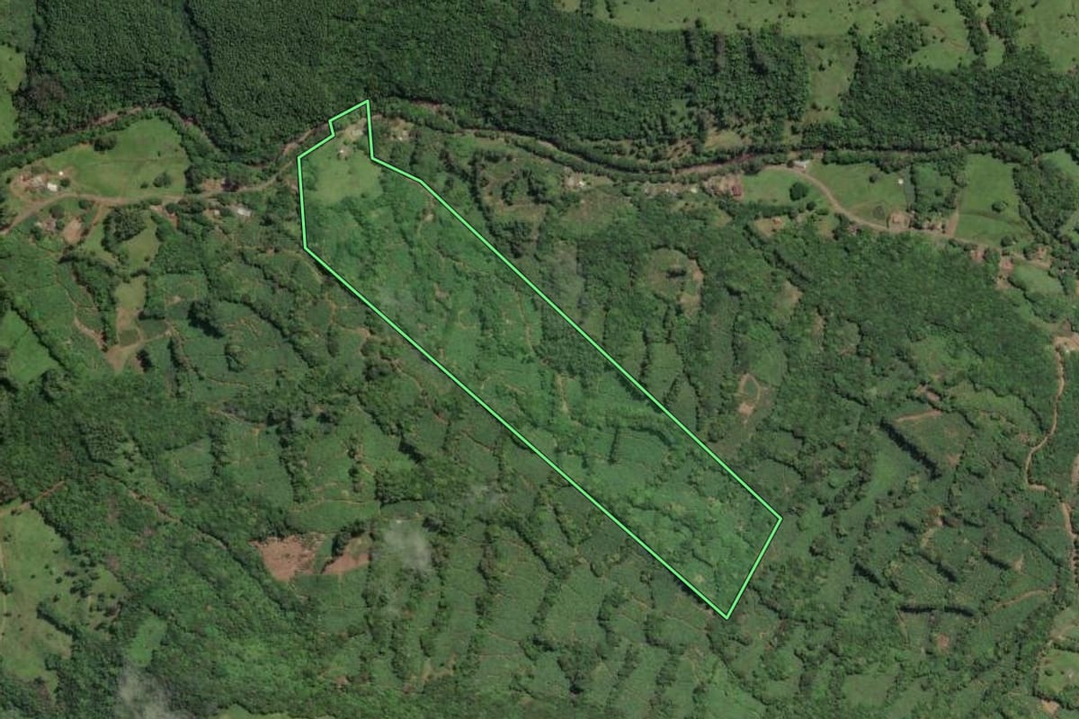 Imagem de satélite do imóvel rural em Três Cachoeiras (RS), com o contorno declarado no CAR desenhado por cima.
