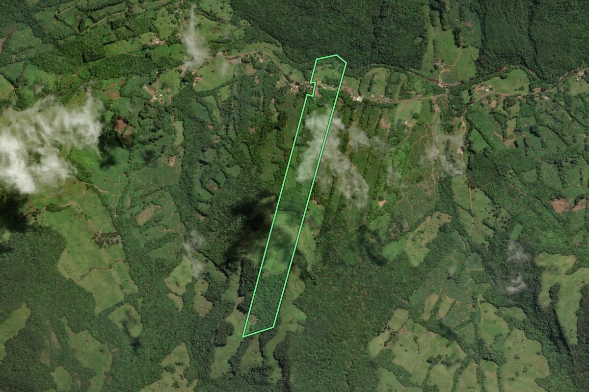 Imagem de satélite do imóvel rural em Três Cachoeiras (RS), com o contorno declarado no CAR desenhado por cima.