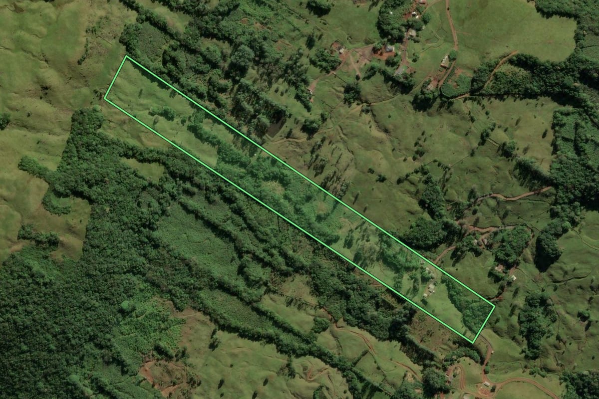 Imagem de satélite do imóvel rural em Três Cachoeiras (RS), com o contorno declarado no CAR desenhado por cima.