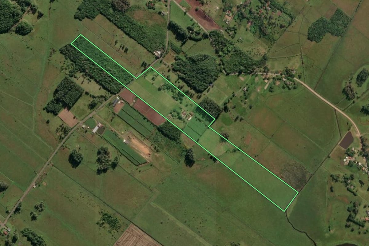 Imagem de satélite do imóvel rural em Três Cachoeiras (RS), com o contorno declarado no CAR desenhado por cima.