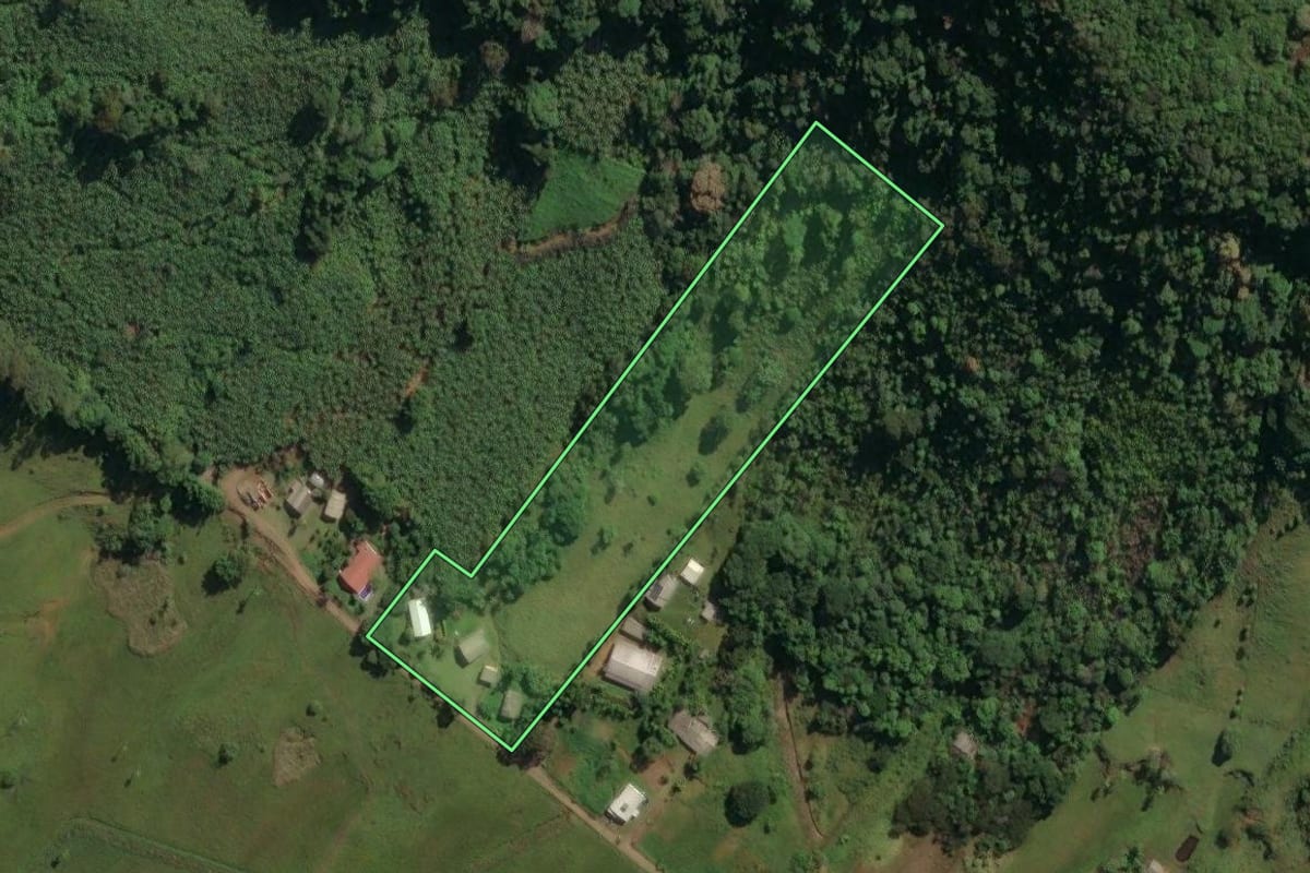 Imagem de satélite do imóvel rural em Três Cachoeiras (RS), com o contorno declarado no CAR desenhado por cima.