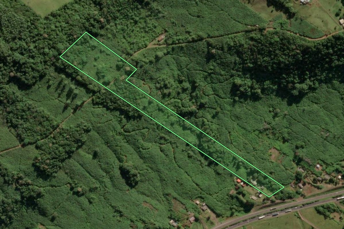Imagem de satélite do imóvel rural em Três Cachoeiras (RS), com o contorno declarado no CAR desenhado por cima.