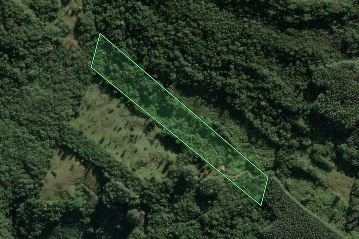 Imagem de satélite do imóvel rural em Três Cachoeiras (RS), com o contorno declarado no CAR desenhado por cima.