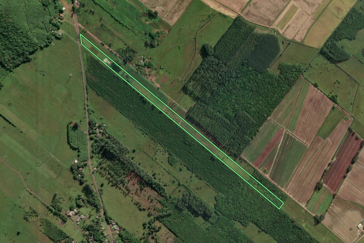 Imagem de satélite do imóvel rural em Três Cachoeiras (RS), com o contorno declarado no CAR desenhado por cima.