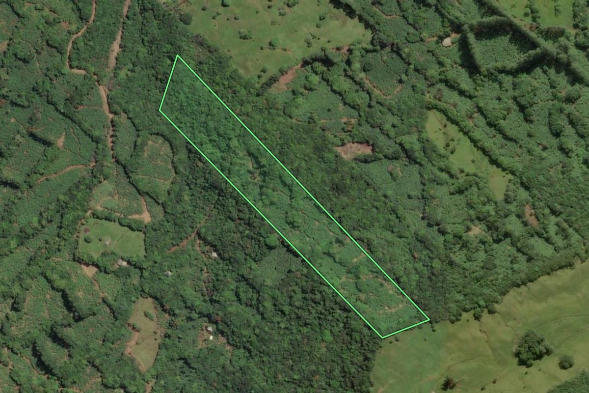 Imagem de satélite do imóvel rural em Três Cachoeiras (RS), com o contorno declarado no CAR desenhado por cima.