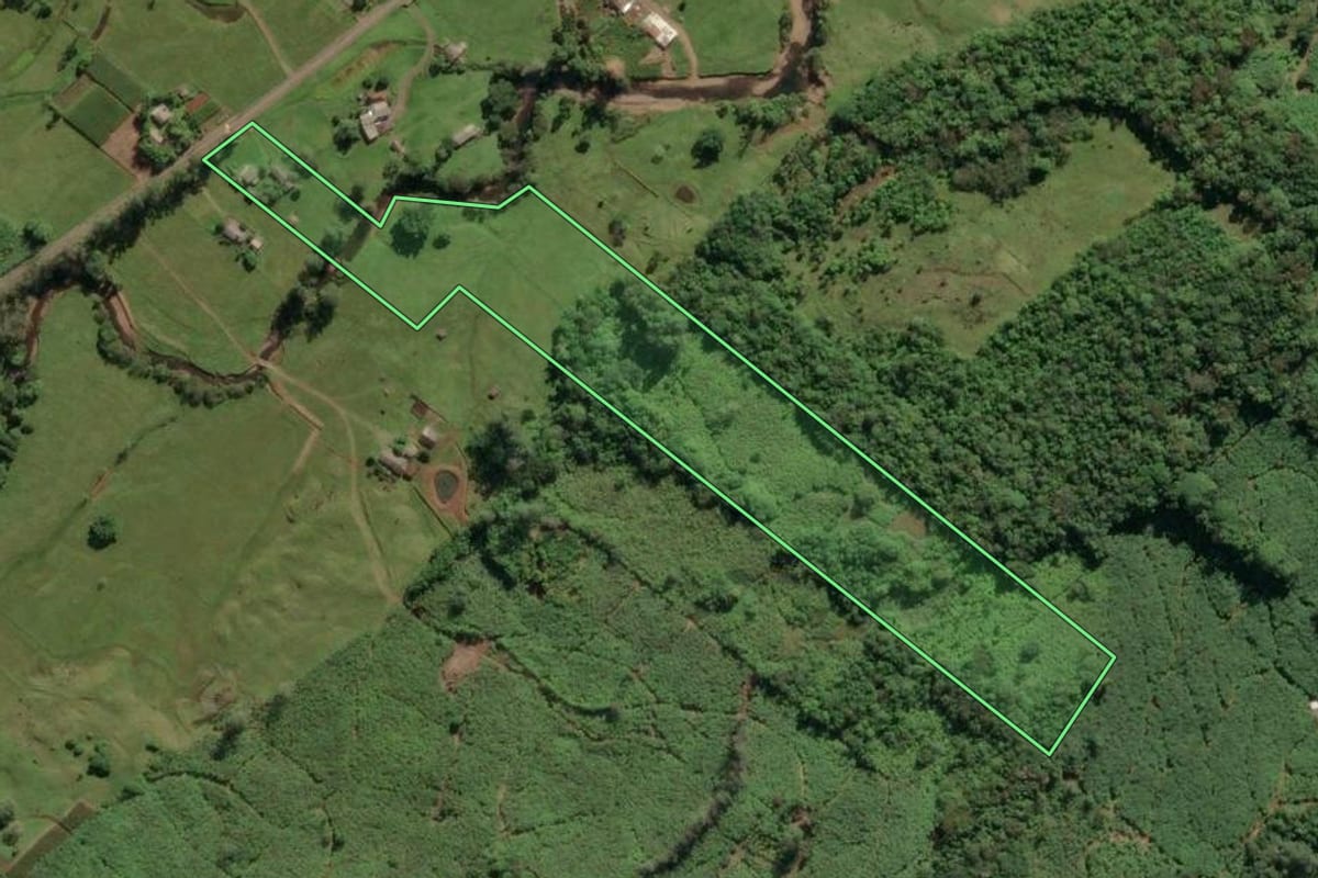 Imagem de satélite do imóvel rural em Três Cachoeiras (RS), com o contorno declarado no CAR desenhado por cima.