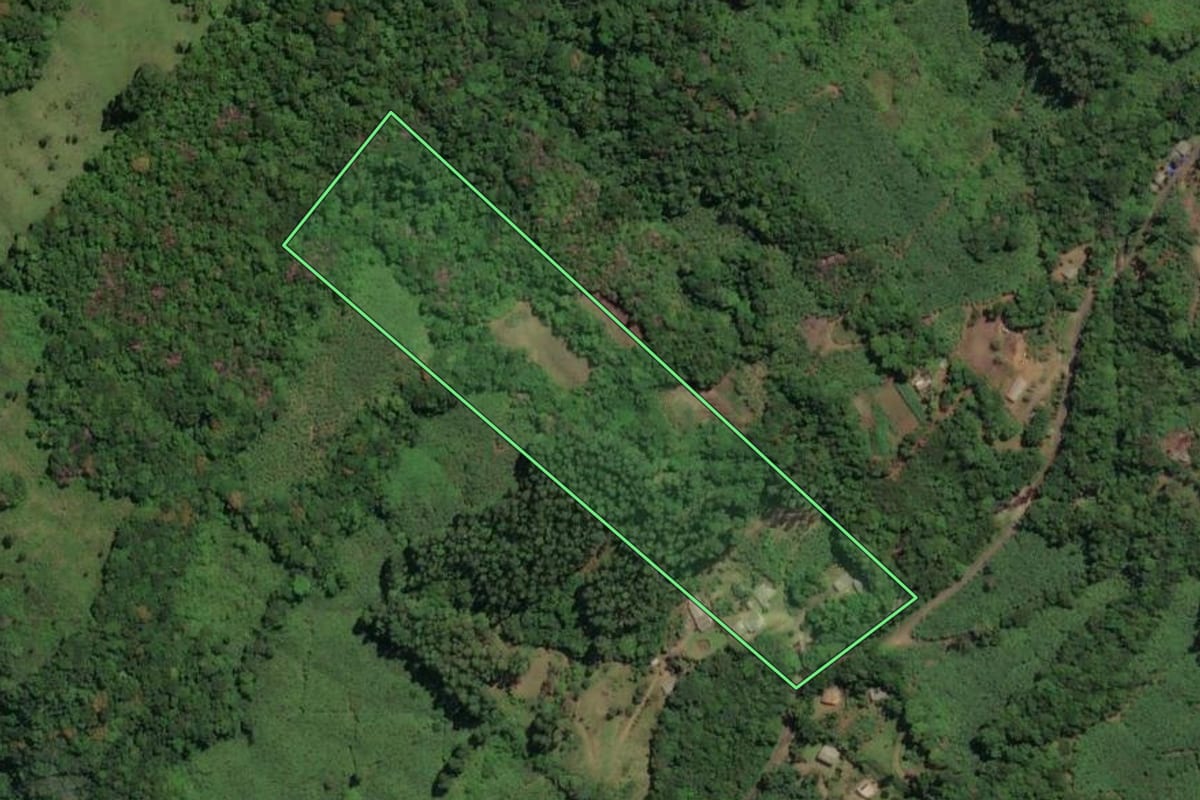 Imagem de satélite do imóvel rural em Três Cachoeiras (RS), com o contorno declarado no CAR desenhado por cima.