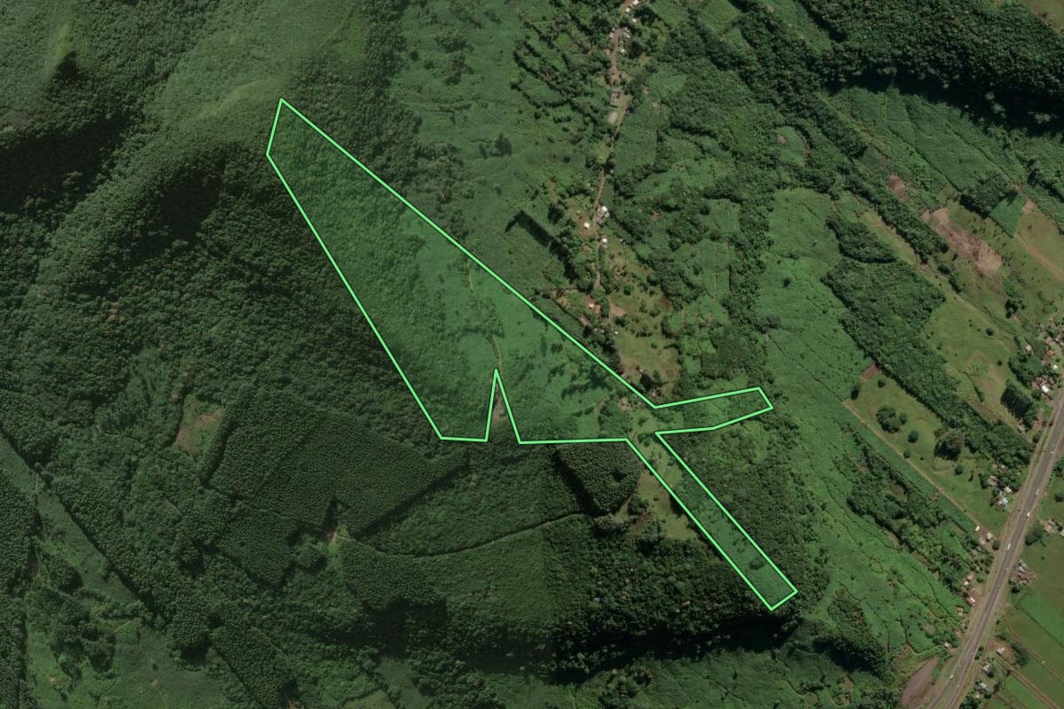 Imagem de satélite do imóvel rural em Três Cachoeiras (RS), com o contorno declarado no CAR desenhado por cima.