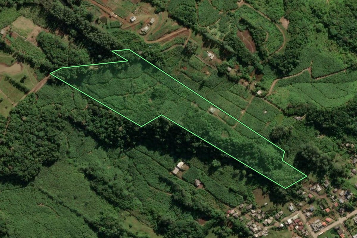 Imagem de satélite do imóvel rural em Três Cachoeiras (RS), com o contorno declarado no CAR desenhado por cima.