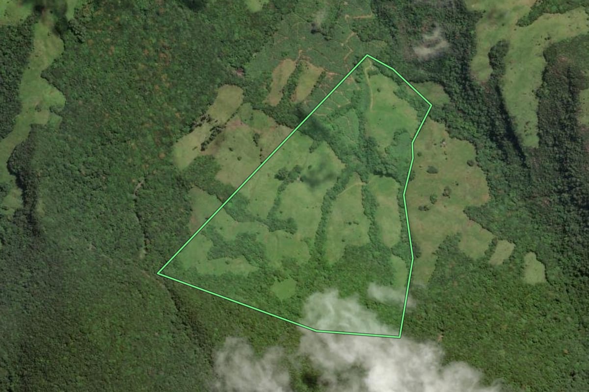 Imagem de satélite do imóvel rural em Três Cachoeiras (RS), com o contorno declarado no CAR desenhado por cima.