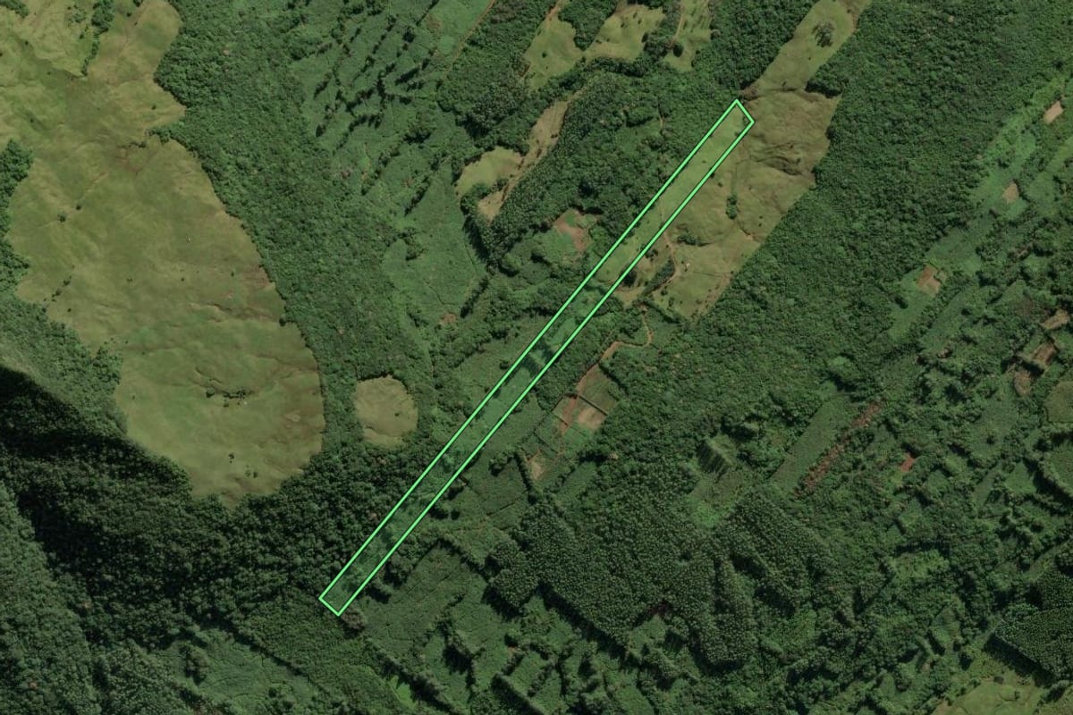 Imagem de satélite do imóvel rural em Três Cachoeiras (RS), com o contorno declarado no CAR desenhado por cima.