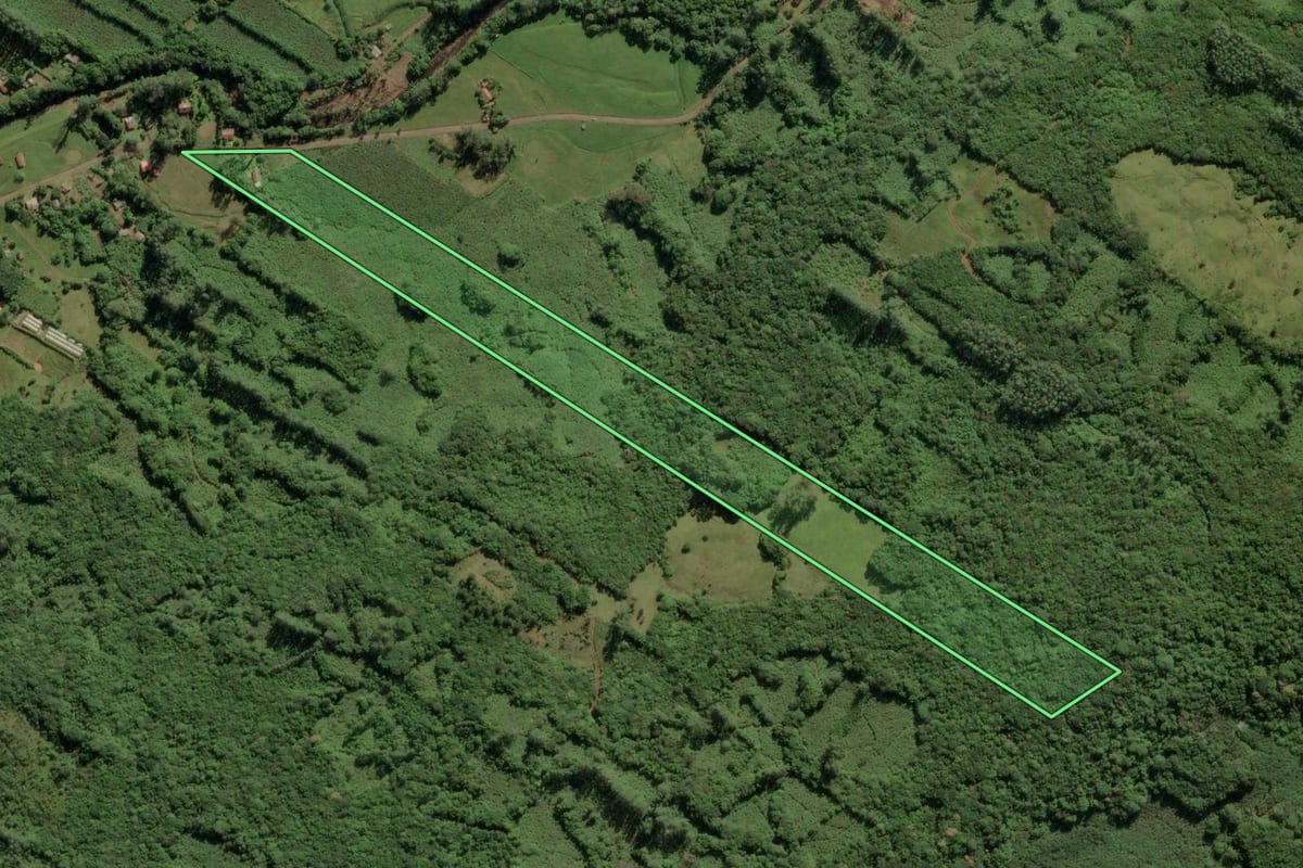 Imagem de satélite do imóvel rural em Três Cachoeiras (RS), com o contorno declarado no CAR desenhado por cima.