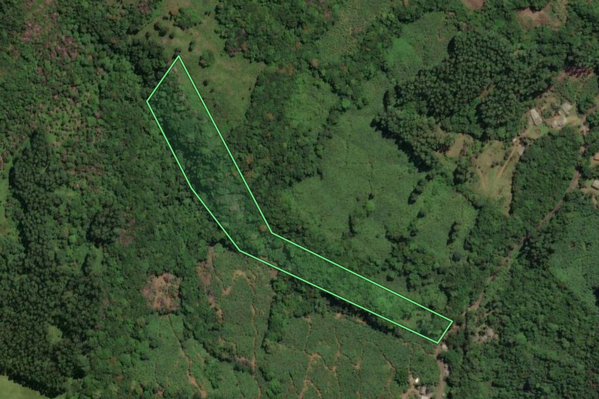 Imagem de satélite do imóvel rural em Três Cachoeiras (RS), com o contorno declarado no CAR desenhado por cima.