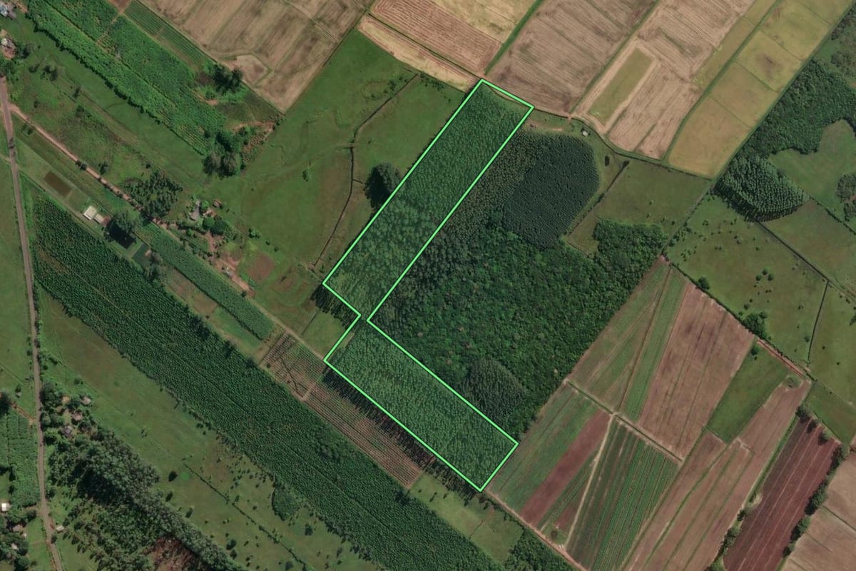 Imagem de satélite do imóvel rural em Três Cachoeiras (RS), com o contorno declarado no CAR desenhado por cima.