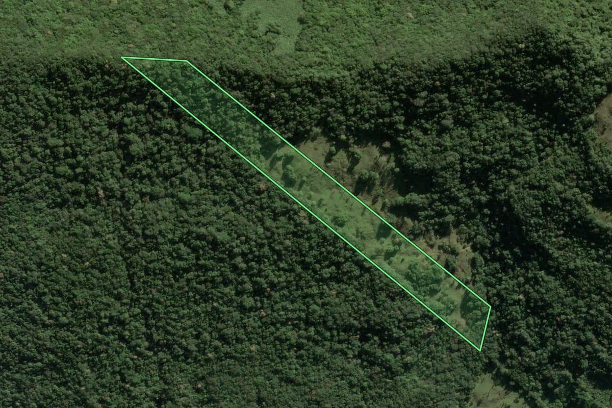 Imagem de satélite do imóvel rural em Três Cachoeiras (RS), com o contorno declarado no CAR desenhado por cima.