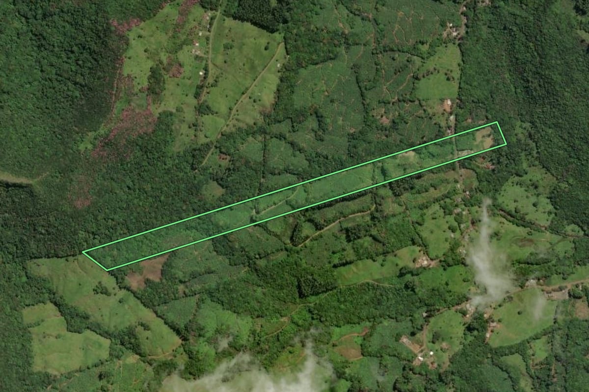 Imagem de satélite do imóvel rural em Três Cachoeiras (RS), com o contorno declarado no CAR desenhado por cima.