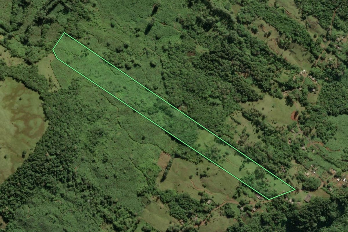 Imagem de satélite do imóvel rural em Três Cachoeiras (RS), com o contorno declarado no CAR desenhado por cima.