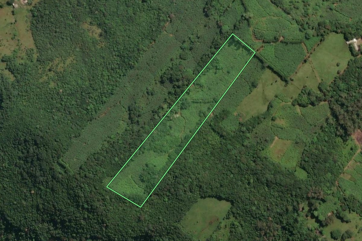 Imagem de satélite do imóvel rural em Três Cachoeiras (RS), com o contorno declarado no CAR desenhado por cima.