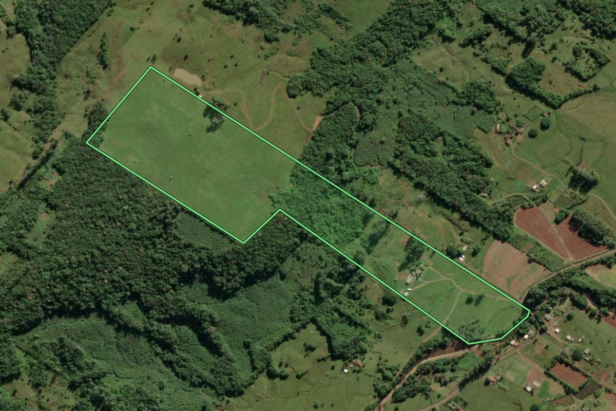 Imagem de satélite do imóvel rural em Três Cachoeiras (RS), com o contorno declarado no CAR desenhado por cima.