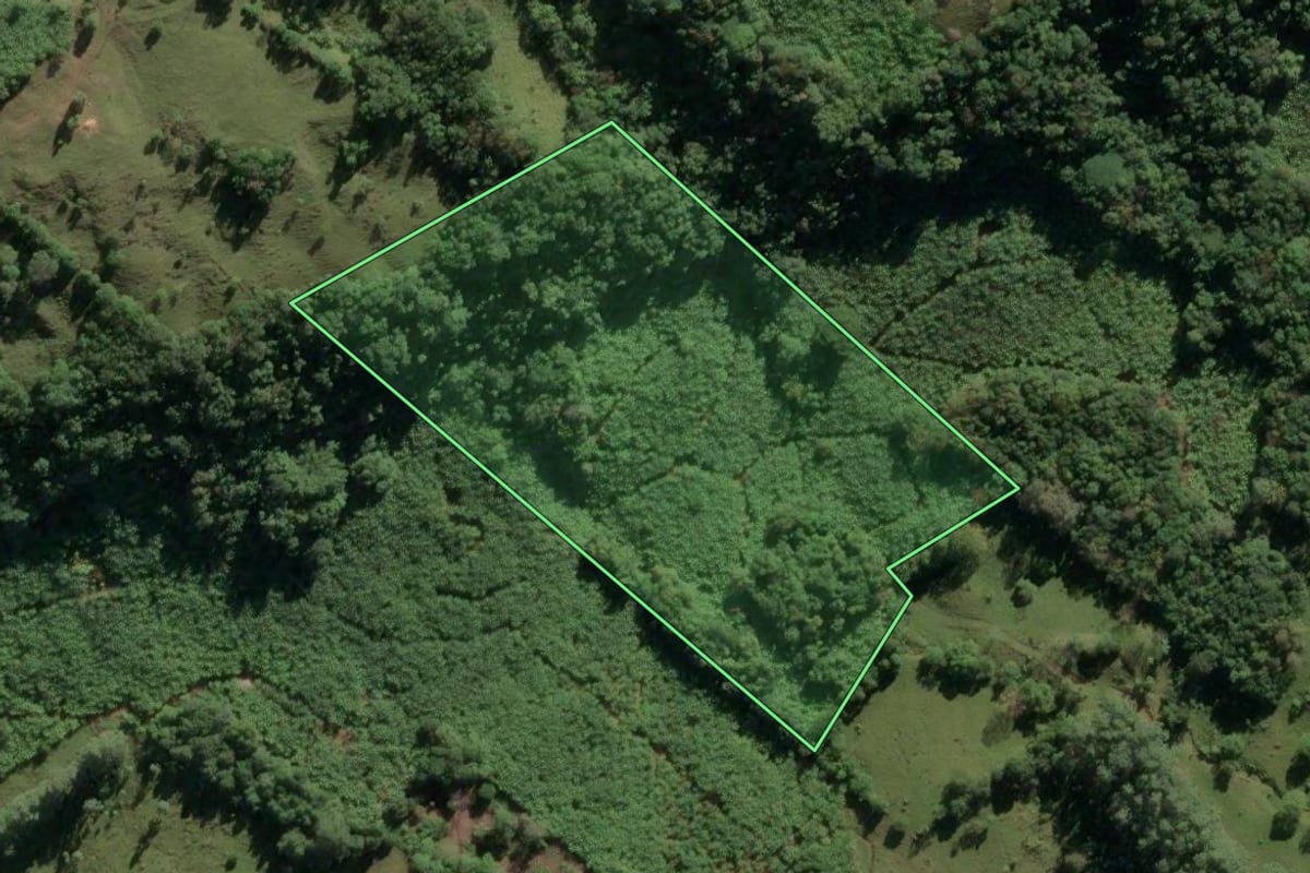Imagem de satélite do imóvel rural em Três Cachoeiras (RS), com o contorno declarado no CAR desenhado por cima.