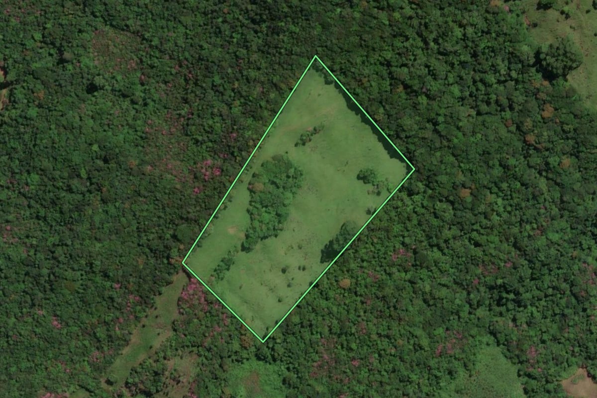 Imagem de satélite do imóvel rural em Três Cachoeiras (RS), com o contorno declarado no CAR desenhado por cima.