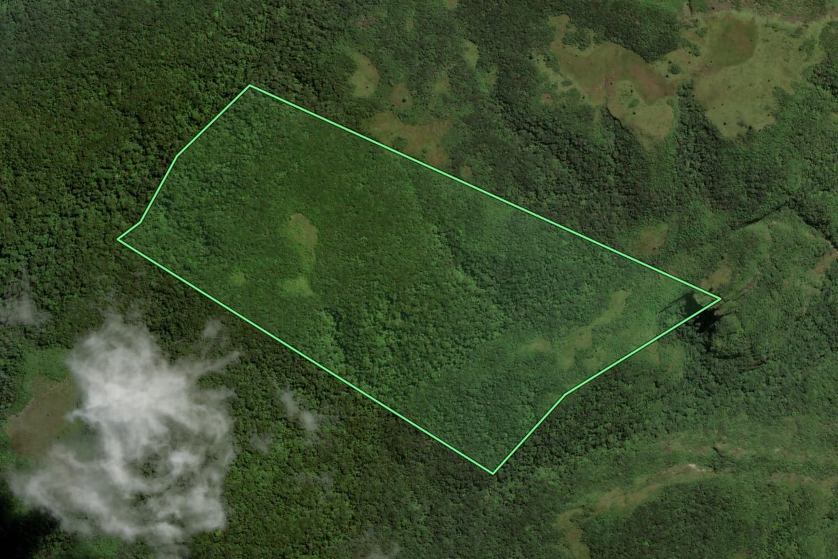 Imagem de satélite do imóvel rural em Três Cachoeiras (RS), com o contorno declarado no CAR desenhado por cima.