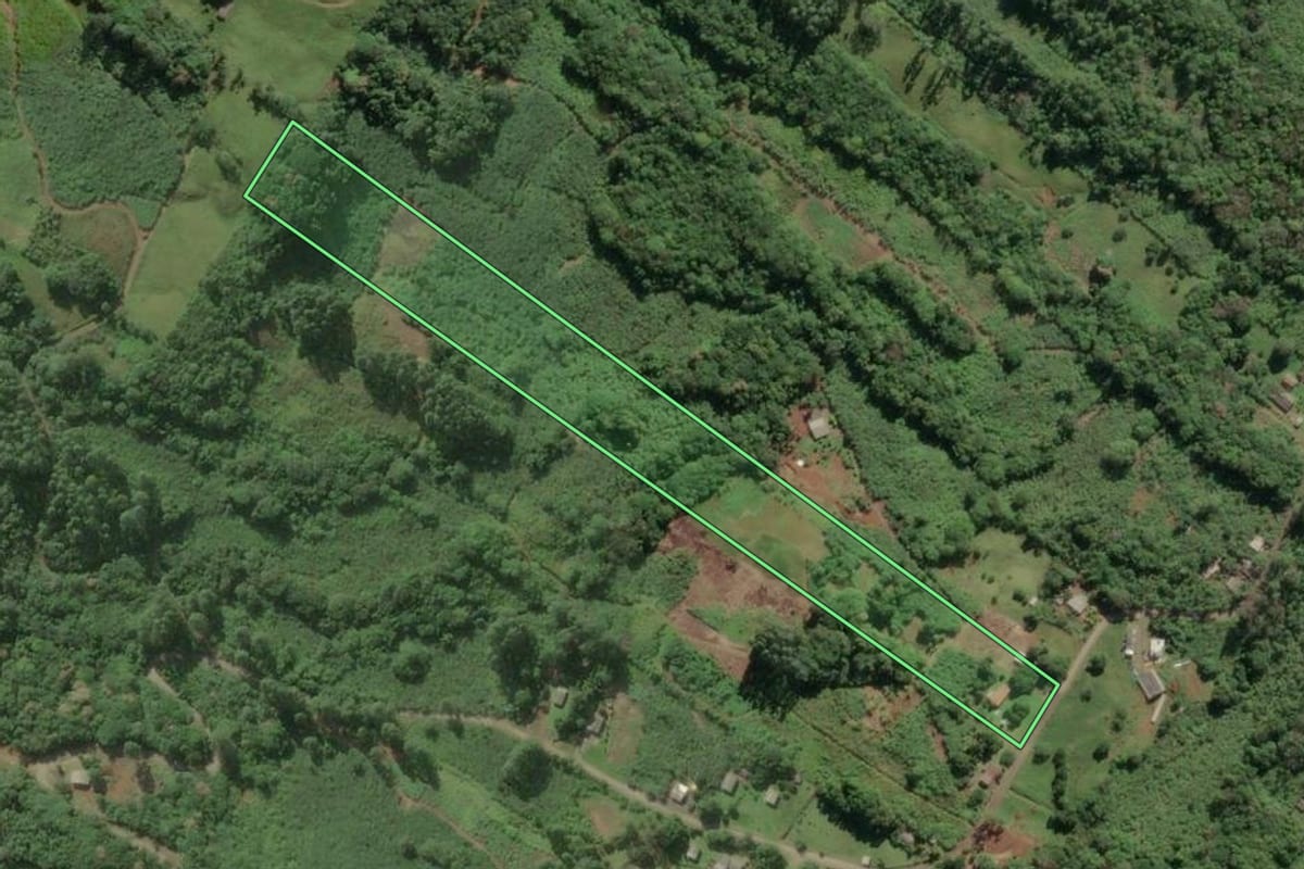 Imagem de satélite do imóvel rural em Três Cachoeiras (RS), com o contorno declarado no CAR desenhado por cima.