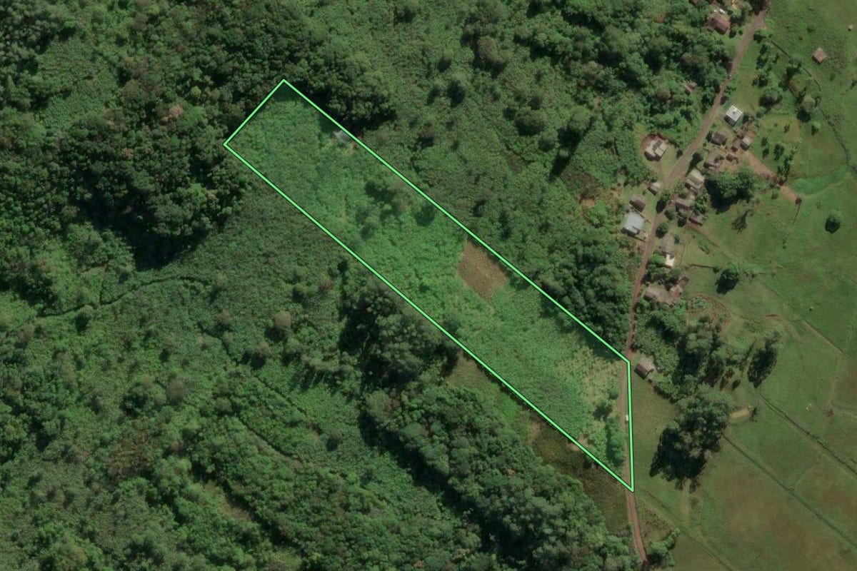 Imagem de satélite do imóvel rural em Três Cachoeiras (RS), com o contorno declarado no CAR desenhado por cima.