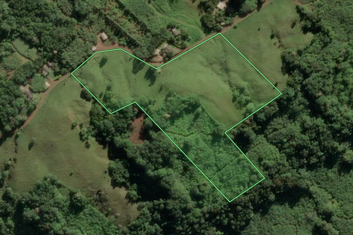 Imagem de satélite do imóvel rural em Três Cachoeiras (RS), com o contorno declarado no CAR desenhado por cima.
