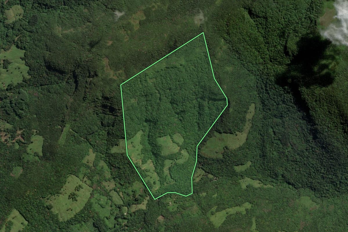 Imagem de satélite do imóvel rural em Três Cachoeiras (RS), com o contorno declarado no CAR desenhado por cima.