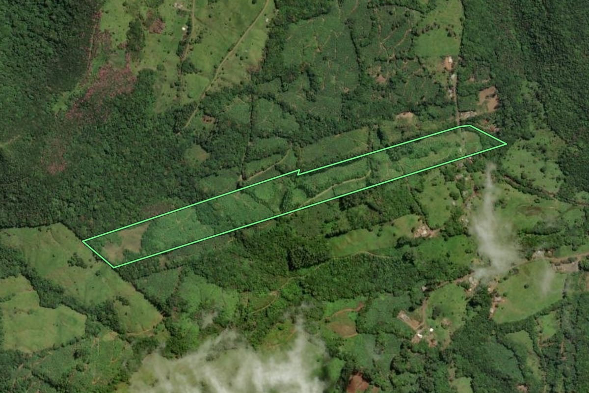 Imagem de satélite do imóvel rural em Três Cachoeiras (RS), com o contorno declarado no CAR desenhado por cima.