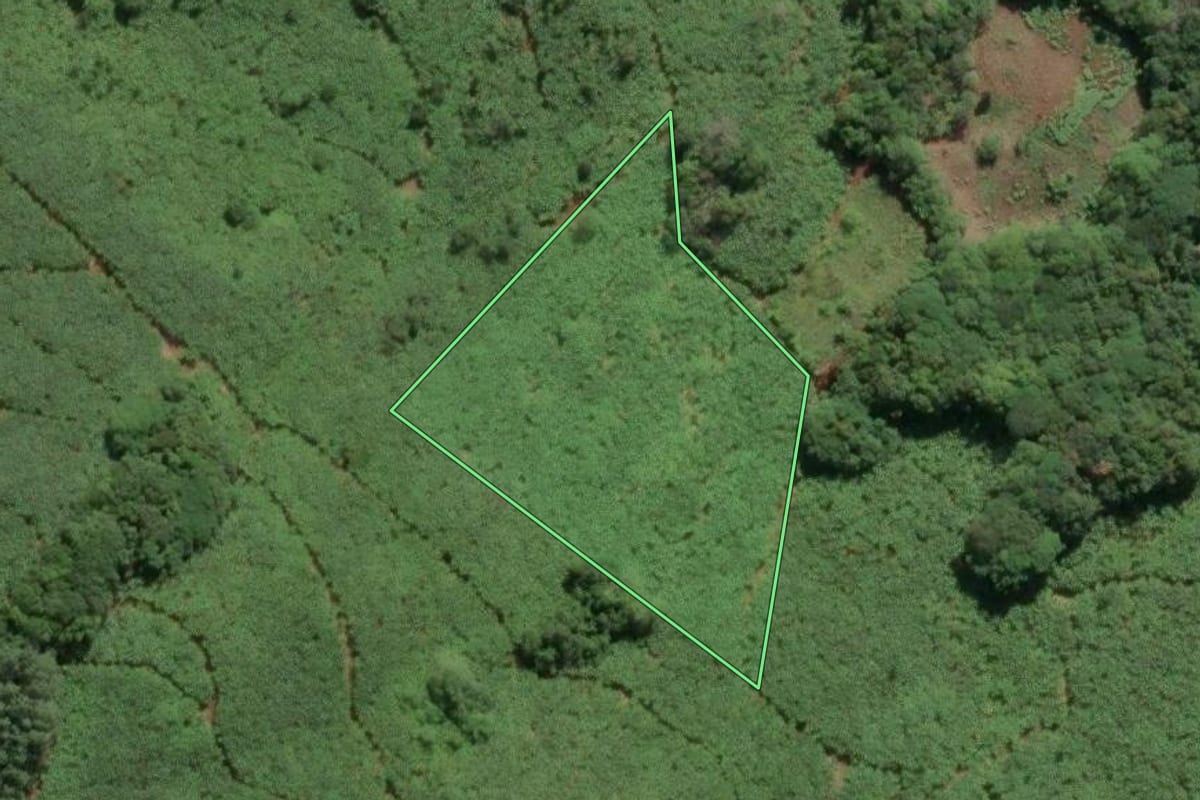 Imagem de satélite do imóvel rural em Três Cachoeiras (RS), com o contorno declarado no CAR desenhado por cima.