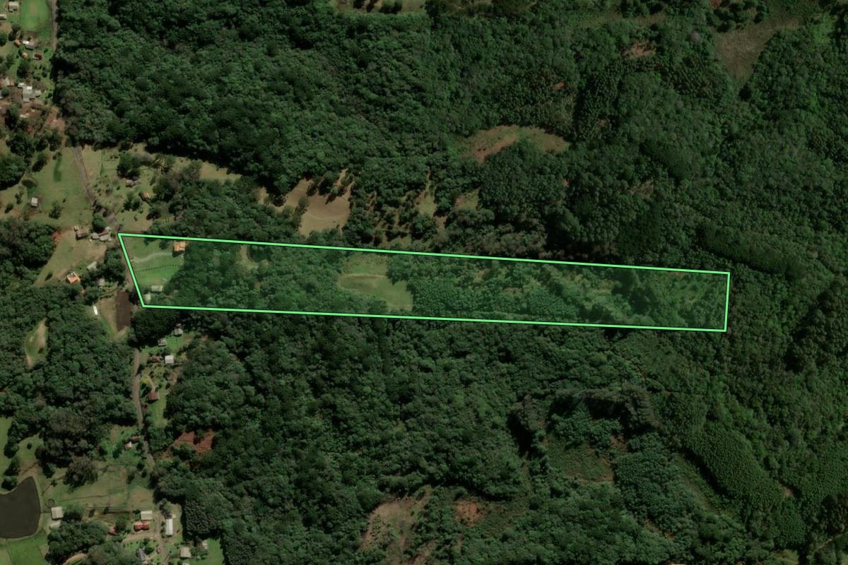 Imagem de satélite do imóvel rural em Três Coroas (RS), com o contorno declarado no CAR desenhado por cima.