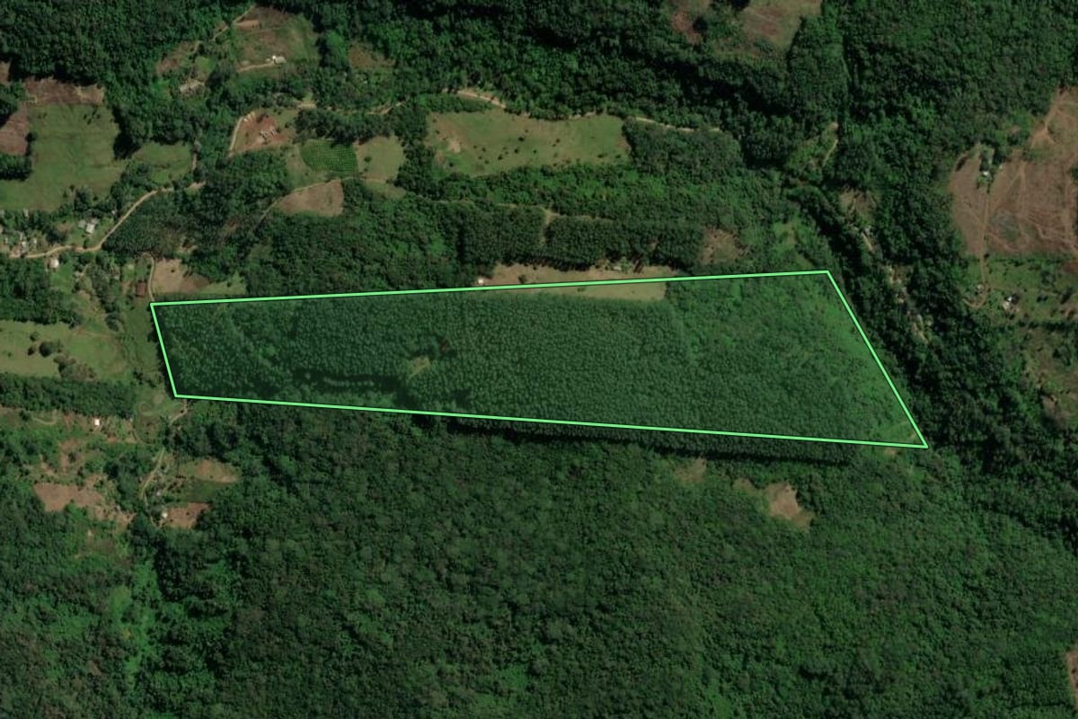 Imagem de satélite do imóvel rural em Três Coroas (RS), com o contorno declarado no CAR desenhado por cima.