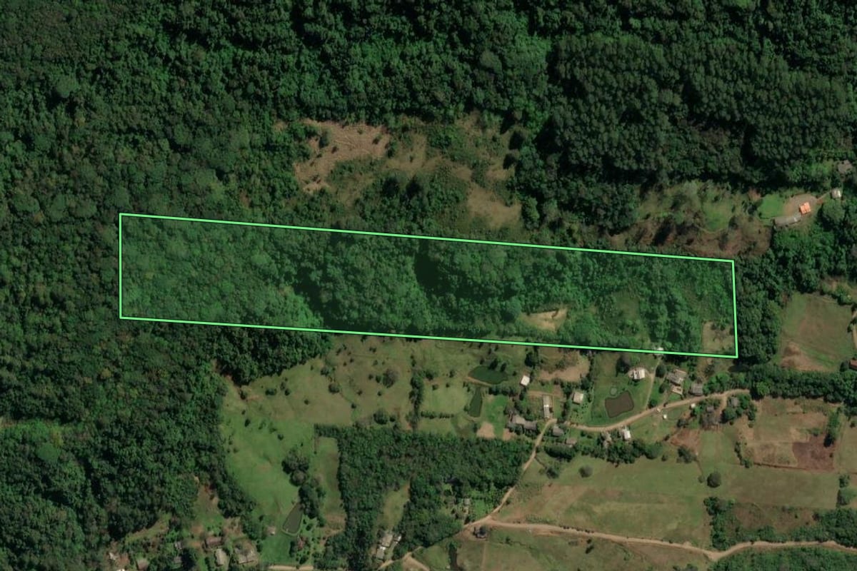 Imagem de satélite do imóvel rural em Três Coroas (RS), com o contorno declarado no CAR desenhado por cima.