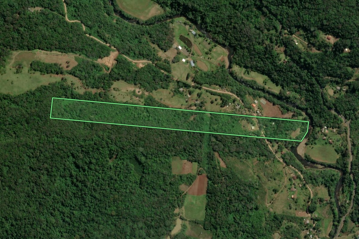 Imagem de satélite do imóvel rural em Três Coroas (RS), com o contorno declarado no CAR desenhado por cima.