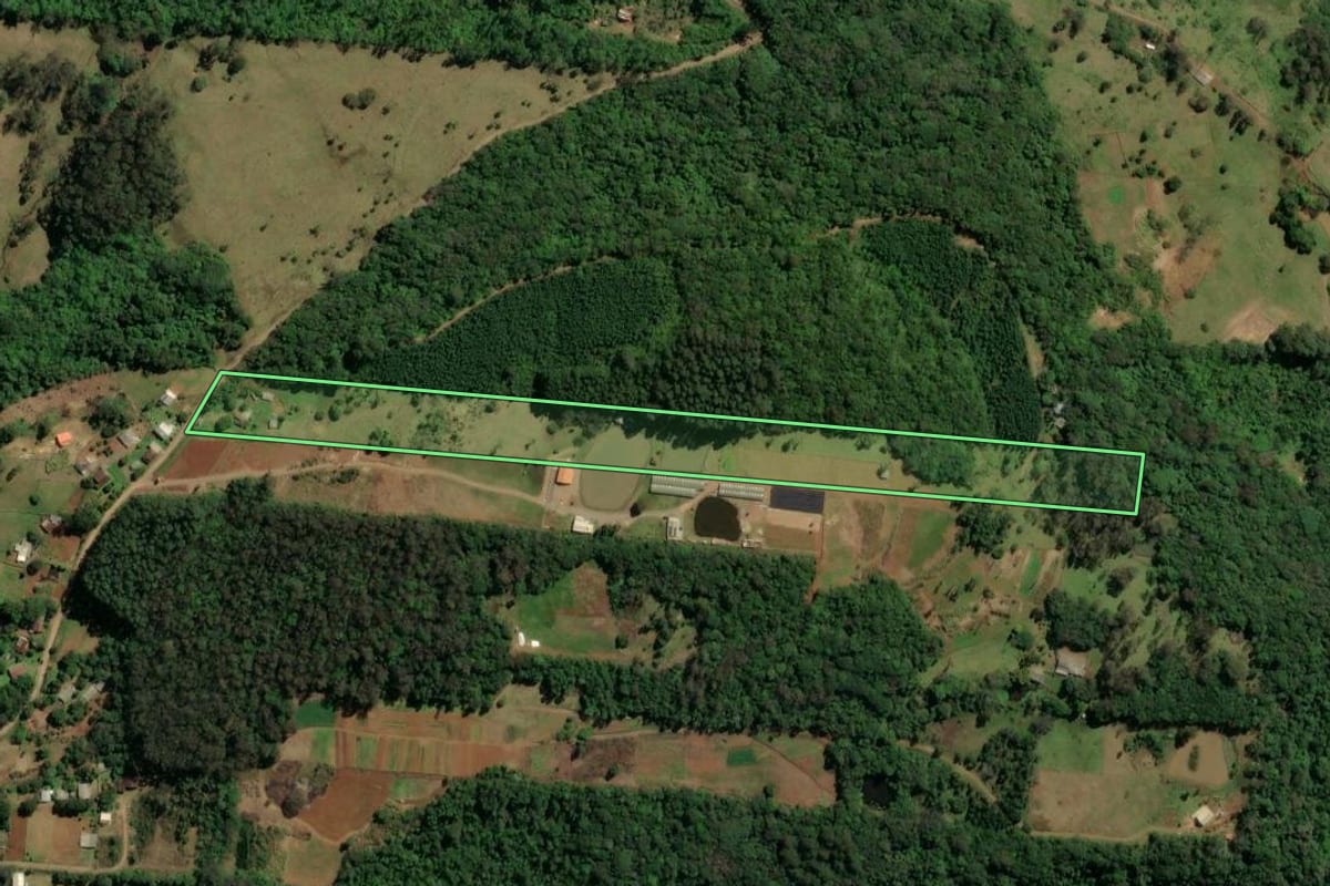 Imagem de satélite do imóvel rural em Três Coroas (RS), com o contorno declarado no CAR desenhado por cima.