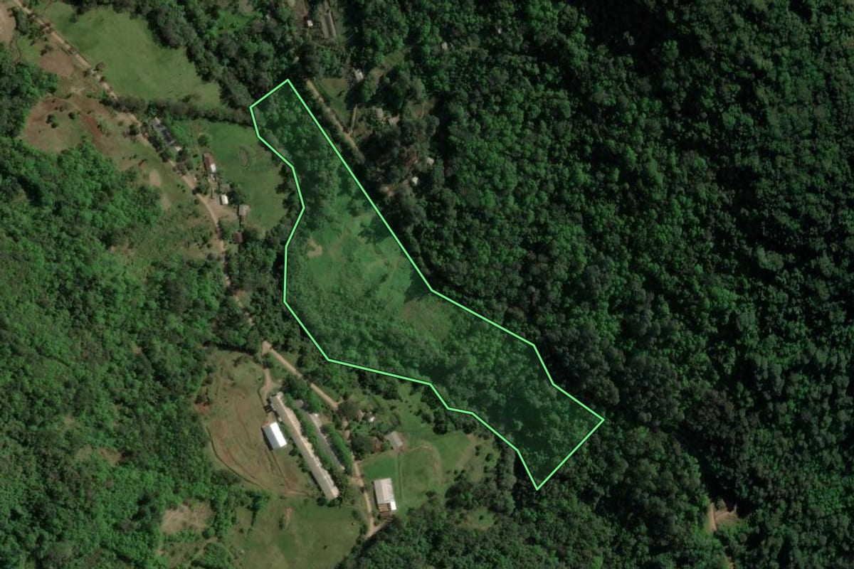 Imagem de satélite do imóvel rural em Três Coroas (RS), com o contorno declarado no CAR desenhado por cima.