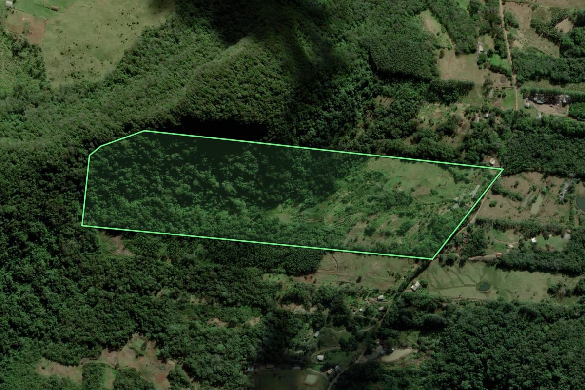 Imagem de satélite do imóvel rural em Três Coroas (RS), com o contorno declarado no CAR desenhado por cima.