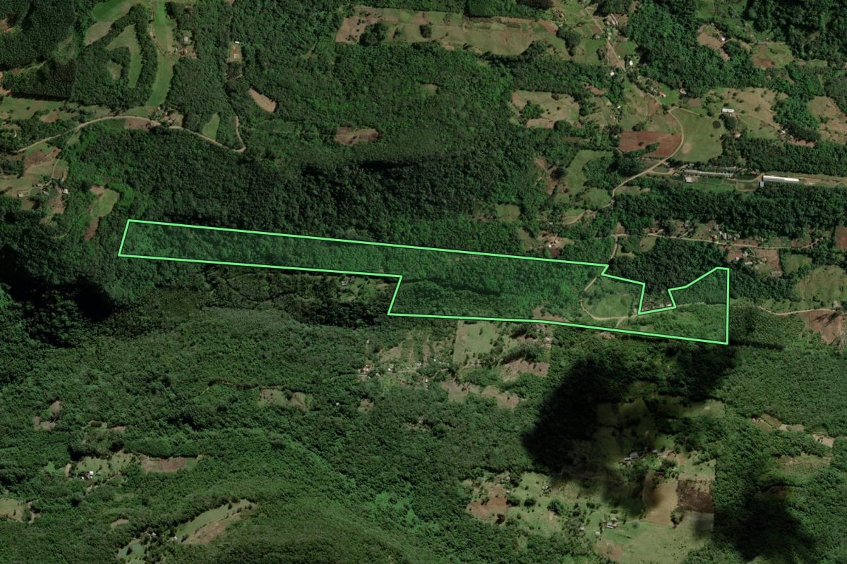 Imagem de satélite do imóvel rural em Três Coroas (RS), com o contorno declarado no CAR desenhado por cima.