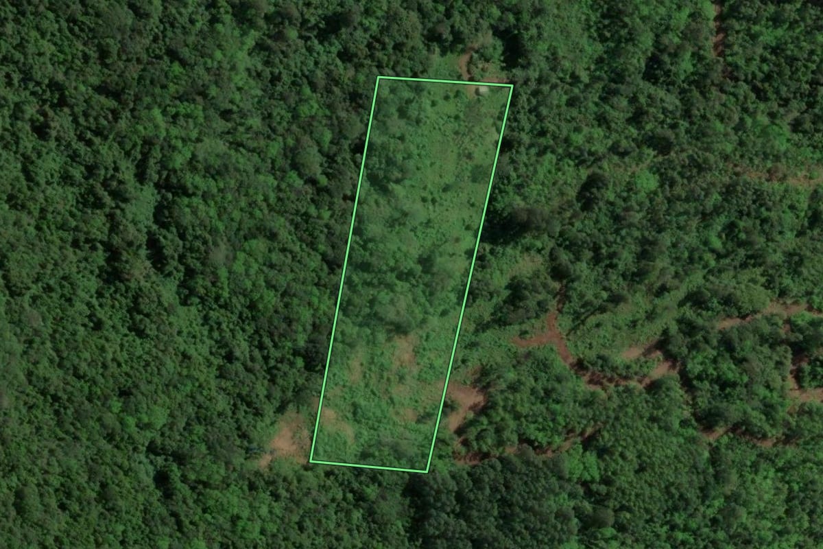 Imagem de satélite do imóvel rural em Três Coroas (RS), com o contorno declarado no CAR desenhado por cima.