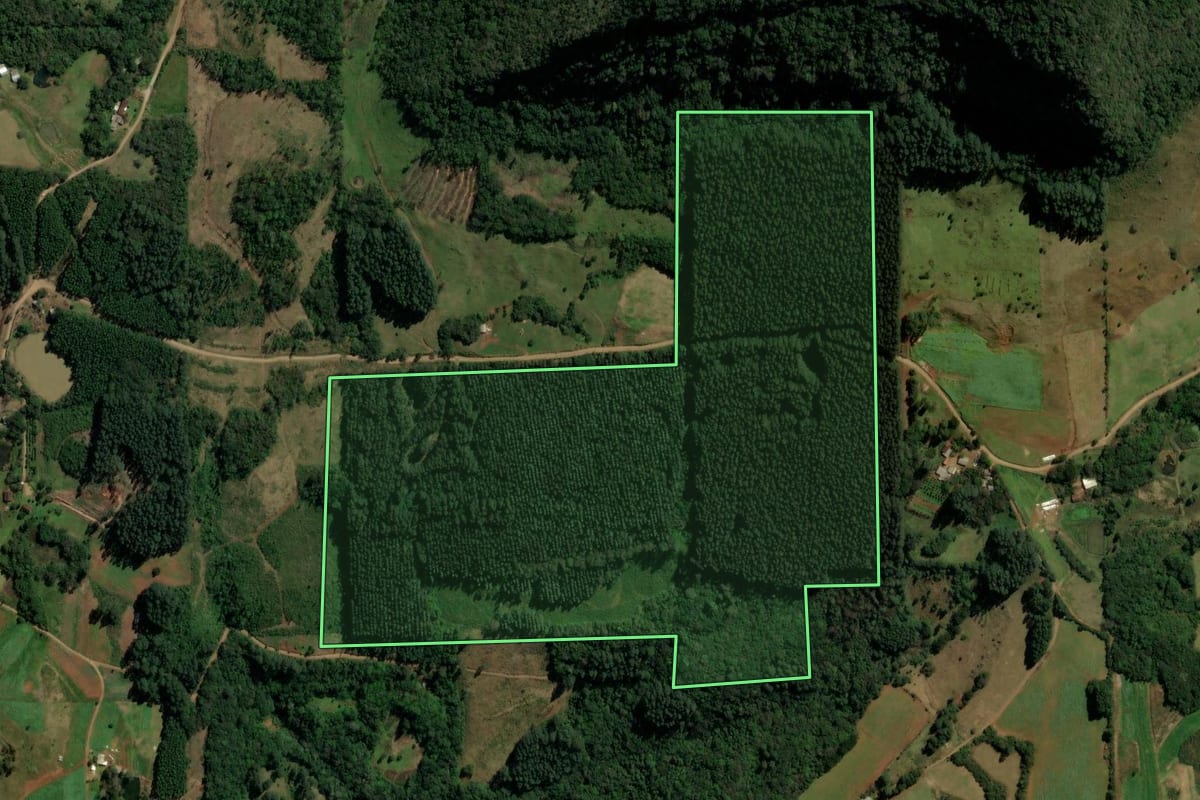 Imagem de satélite do imóvel rural em Três Coroas (RS), com o contorno declarado no CAR desenhado por cima.