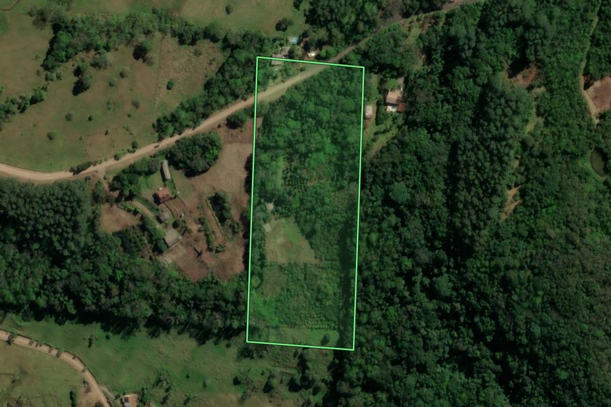 Imagem de satélite do imóvel rural em Três Coroas (RS), com o contorno declarado no CAR desenhado por cima.
