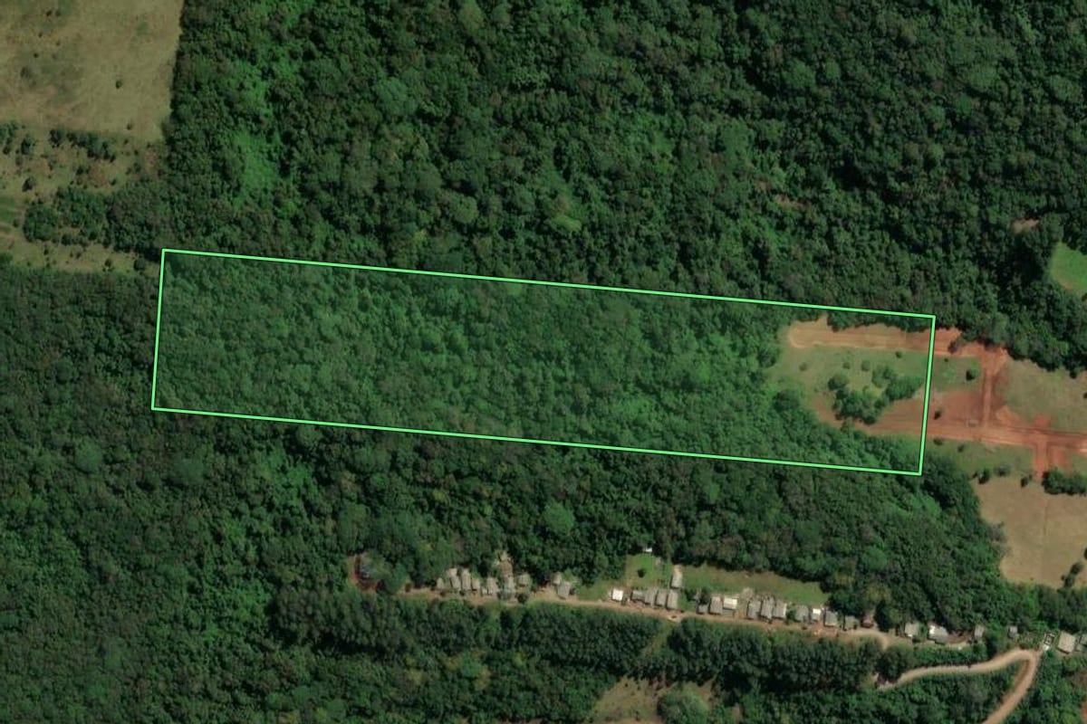 Imagem de satélite do imóvel rural em Três Coroas (RS), com o contorno declarado no CAR desenhado por cima.