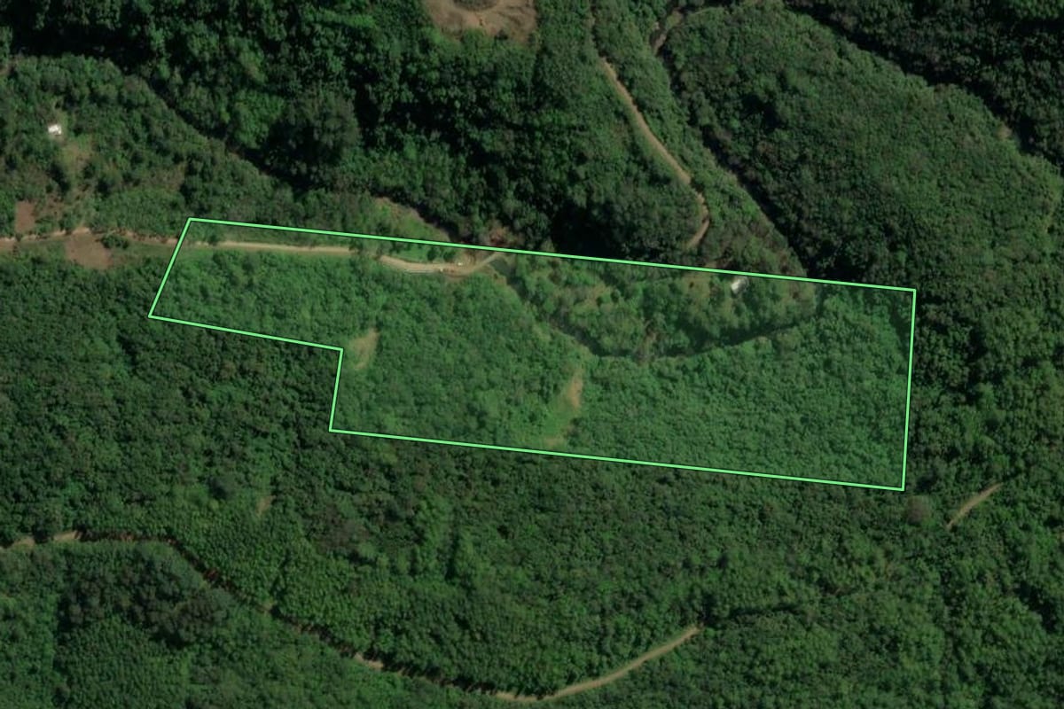 Imagem de satélite do imóvel rural em Três Coroas (RS), com o contorno declarado no CAR desenhado por cima.