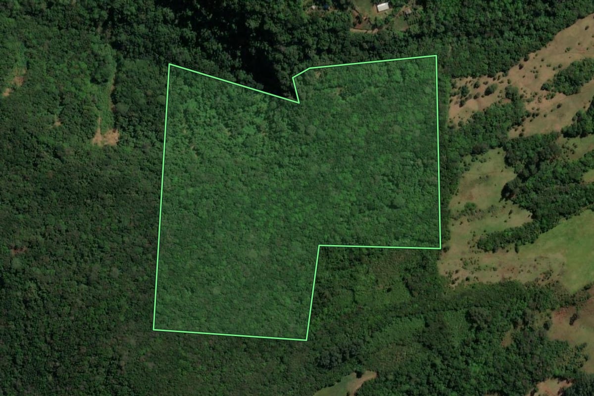 Imagem de satélite do imóvel rural em Três Coroas (RS), com o contorno declarado no CAR desenhado por cima.