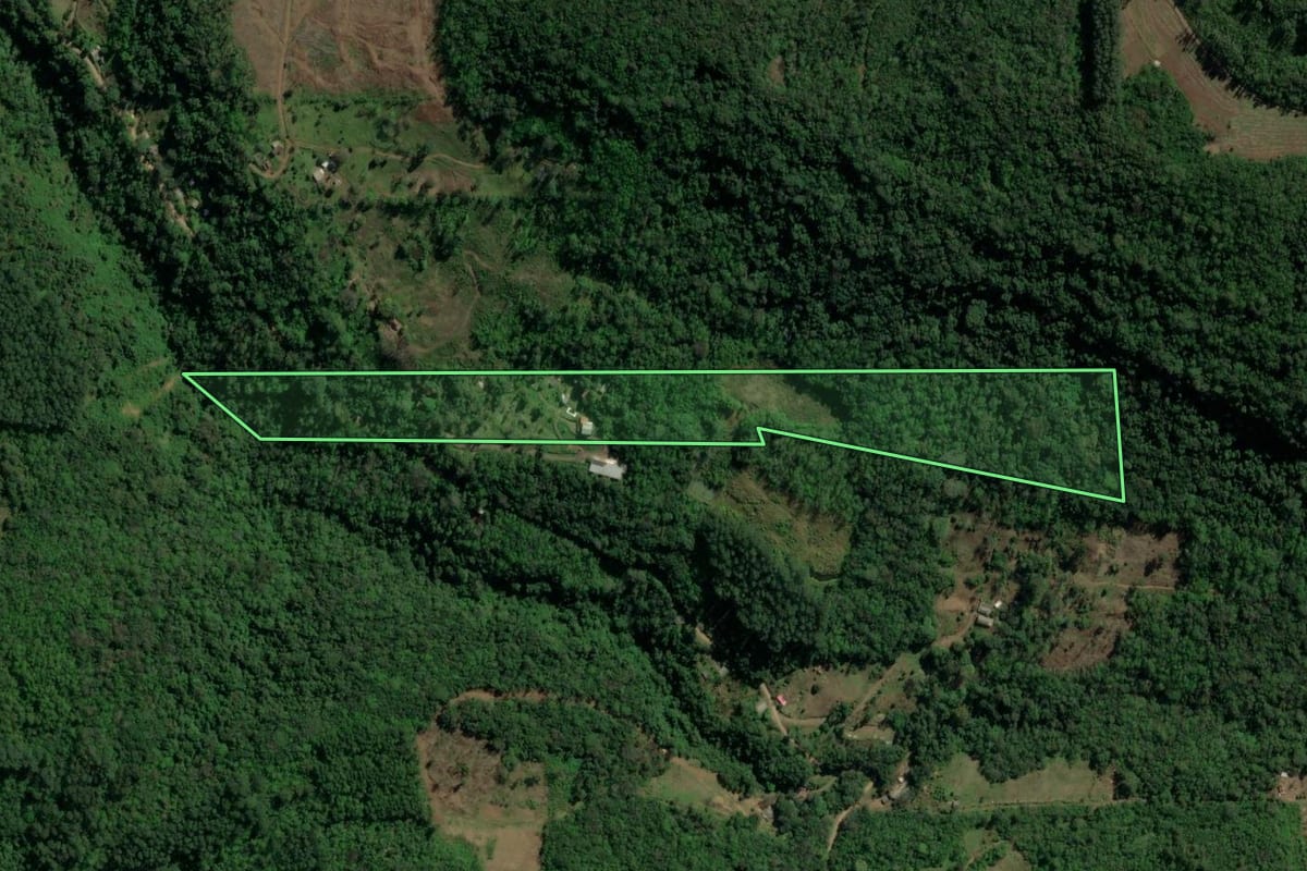 Imagem de satélite do imóvel rural em Três Coroas (RS), com o contorno declarado no CAR desenhado por cima.