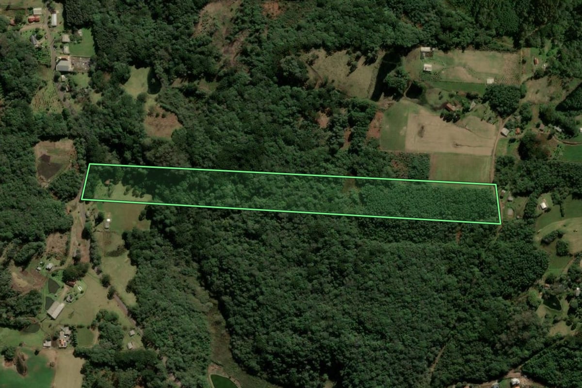 Imagem de satélite do imóvel rural em Três Coroas (RS), com o contorno declarado no CAR desenhado por cima.
