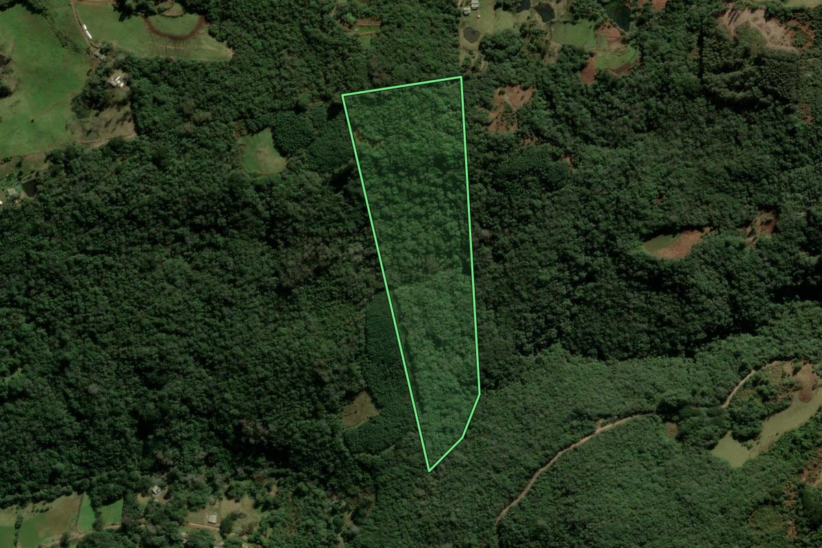 Imagem de satélite do imóvel rural em Três Coroas (RS), com o contorno declarado no CAR desenhado por cima.