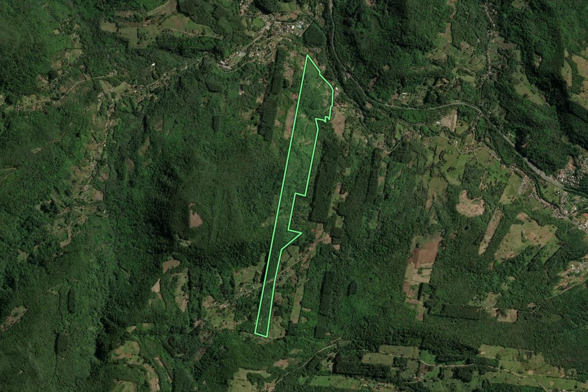 Imagem de satélite do imóvel rural em Três Coroas (RS), com o contorno declarado no CAR desenhado por cima.